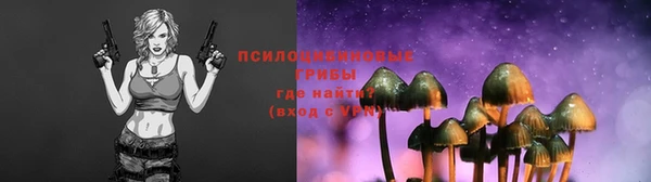 герыч Алзамай