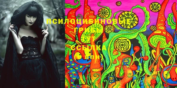 герыч Алзамай