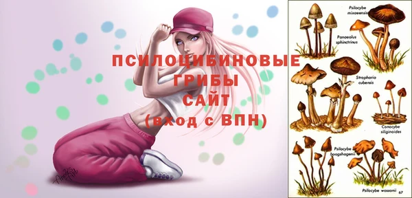 экстази Абаза